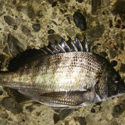 流れの中の変化